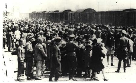 Arrival and selection process at Auschwitz 