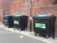 Photo of shared bins a back lane