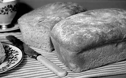 Loaf of bread made using the National Loaf recipe on a table. The loaf is cut in half. The half at the front right of the picture is seen from the end crust. The adjacent second half is seen from the cut section. The loaf appears to be heavy and quite dry.