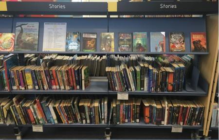 Gosforth Library book shelves