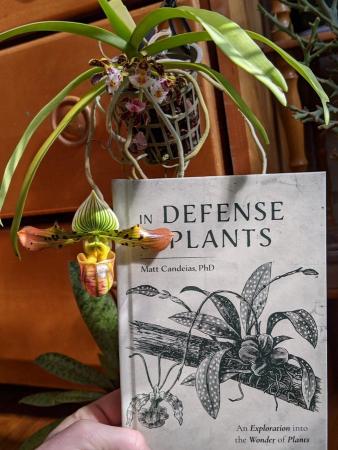 In defense of plants book cover and orchid