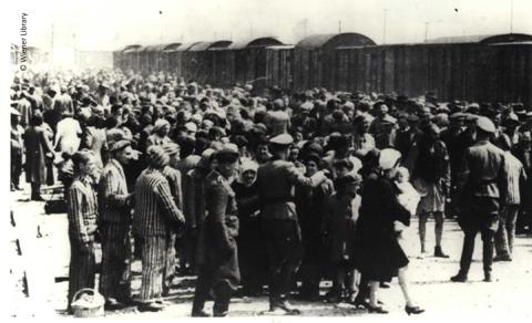 Men, women and children arriving at Auschwitz and selected for work or death by Nazi soldiers