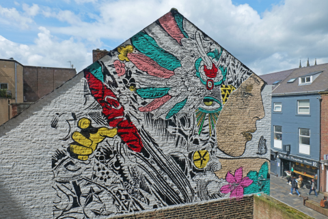 Photo showing the new mural on a wall on Ridley Place