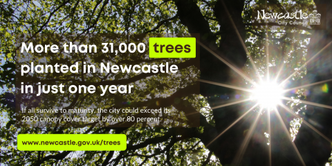 Sun shining through trees in Newcastle. Text: More than 31,000 trees planted in Newcastle in just one year.
