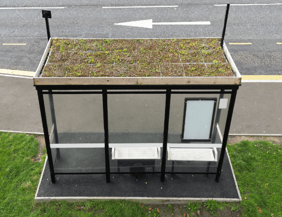 A bee-friendly bus shelter has been installed on Stamfordham Road.