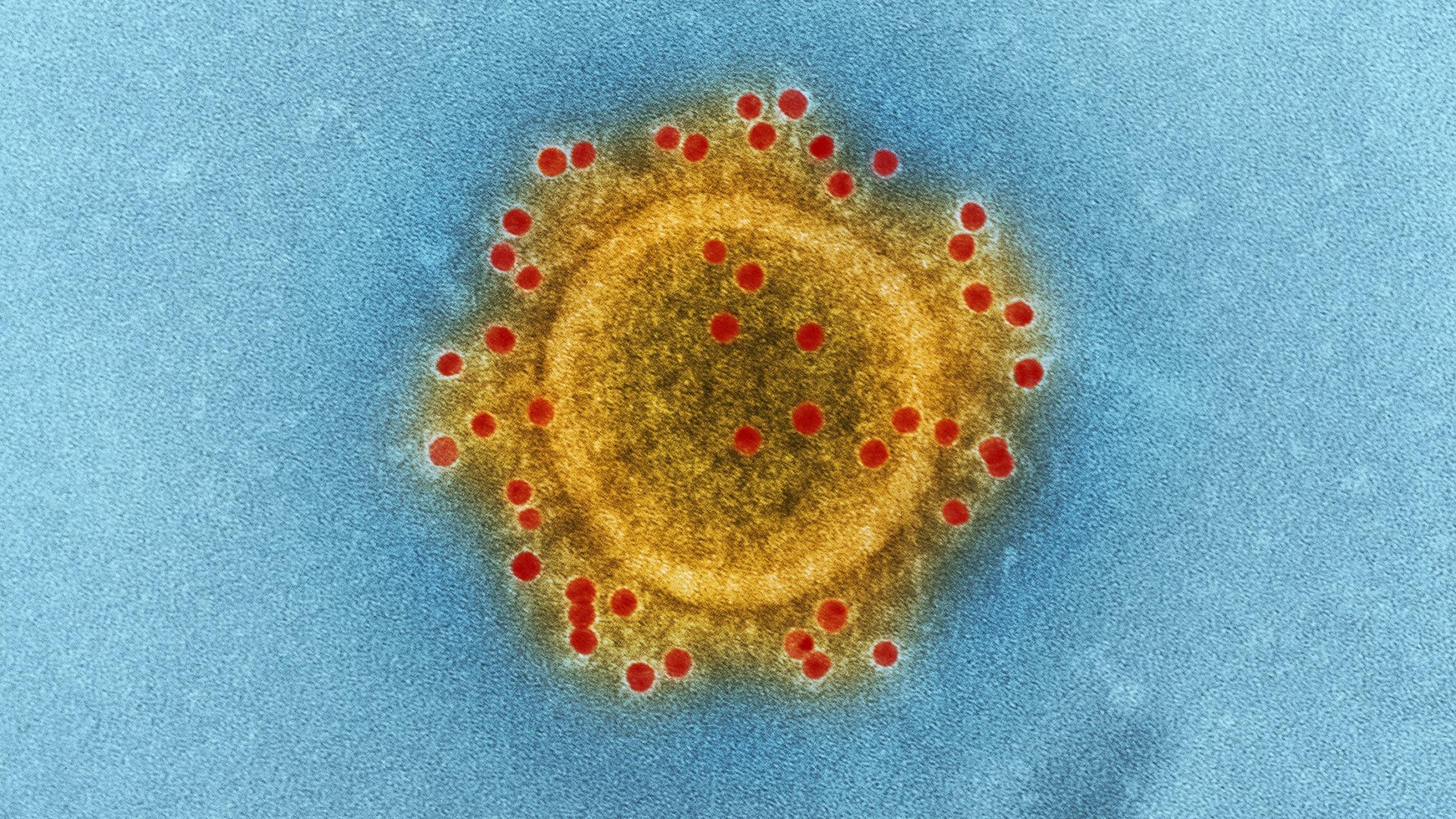 A stylised image of a coronavirus