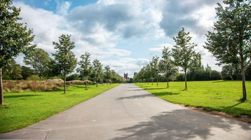 Parkrun to return to the North East