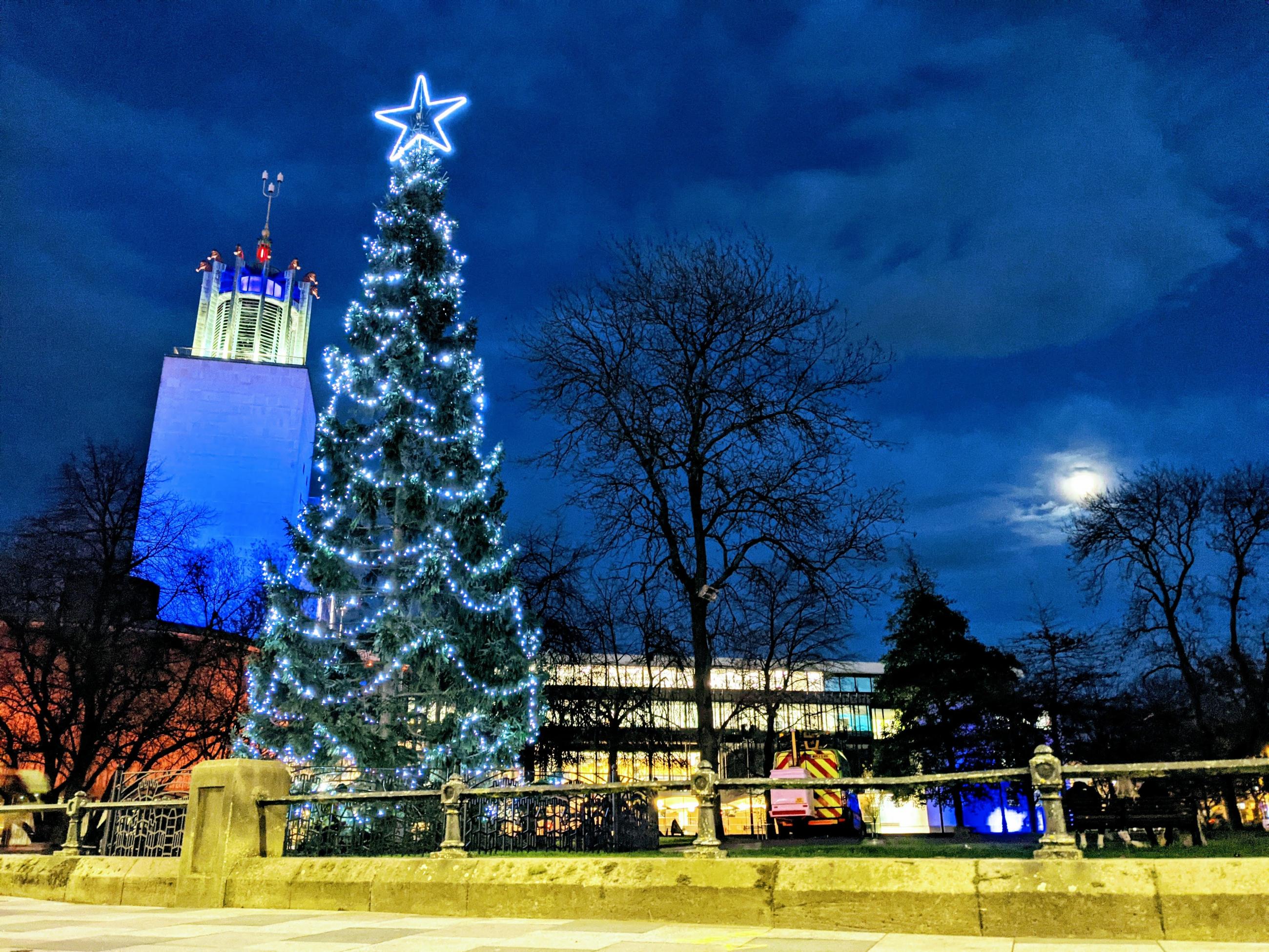 Bergen Tree