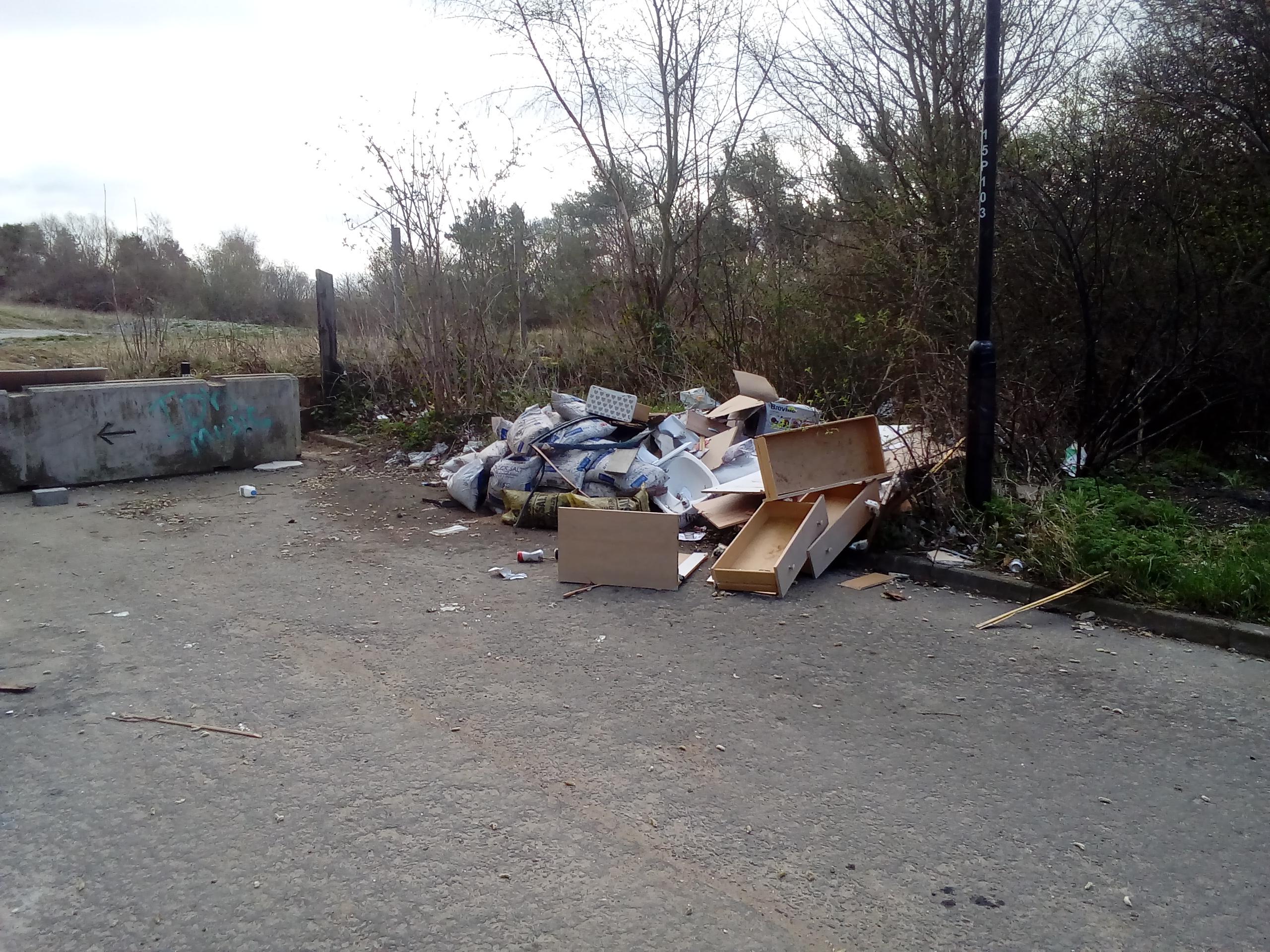 The large pile of waste left at Walker Riverside Country Park