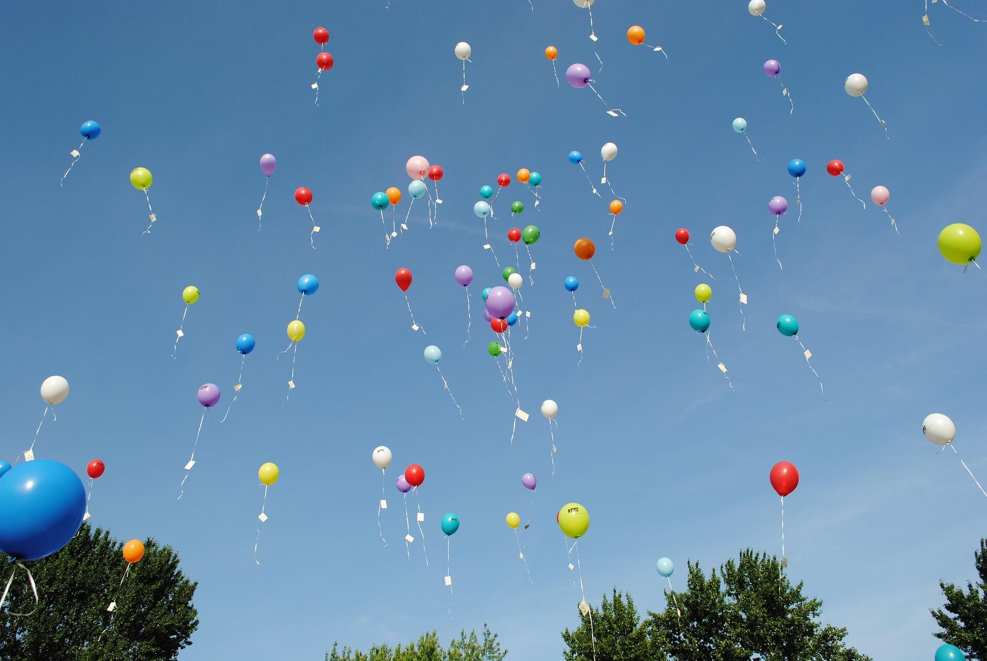 Balloons and sky lanterns can cause serious harm to wildlife and the environment