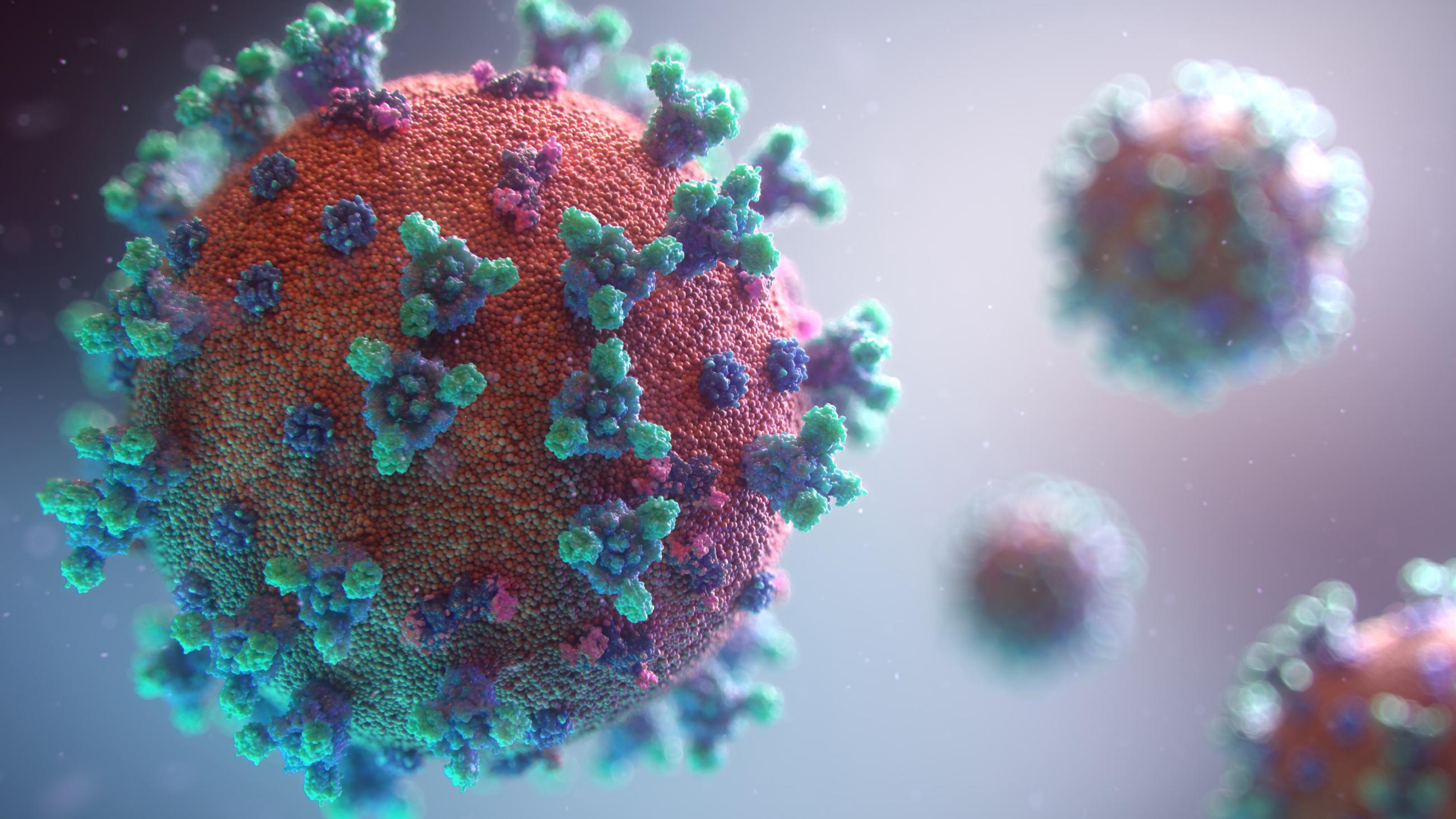 Coronavirus (COVID-19) visualisation