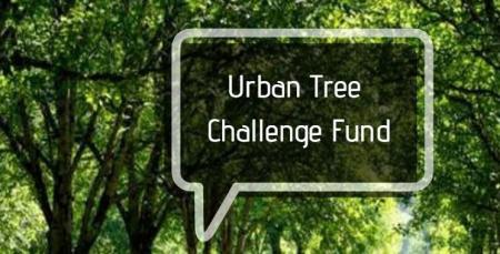 Urban Tree Challenge Fund 