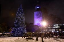 Bergen Tree lit outside the Civic Centre
